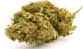 Fleur CBD lemon kush greenowl